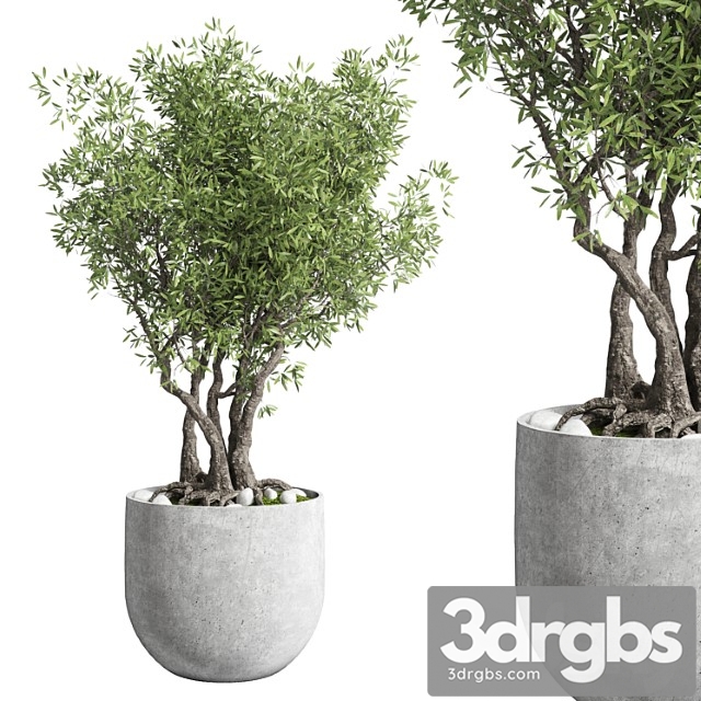 Outdoor Plant 28 Concrete Vase