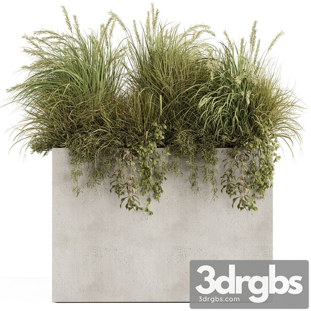 Plant box - outdoor plants 480