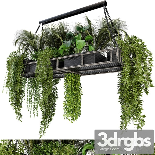 Indoor hanging plants in metal box - set 71