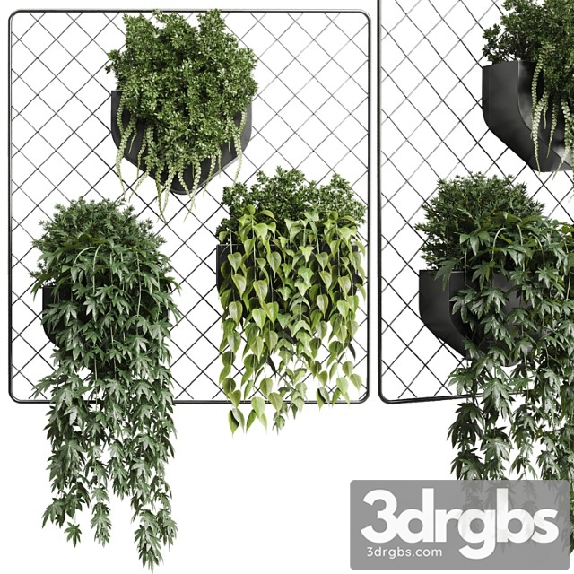 Wall Plant Hanging Plants Collection Indoor Plant 293 Metal Dirt Vase 2
