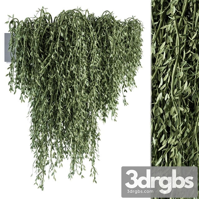 Outdoor hanging plants - set 294