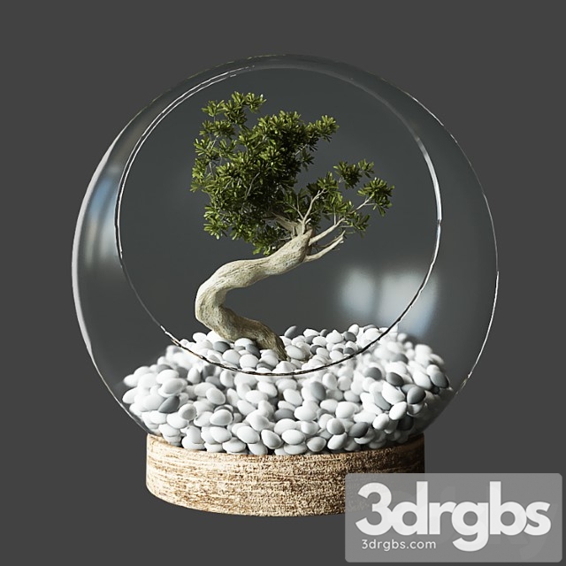 Little tree in glass globe