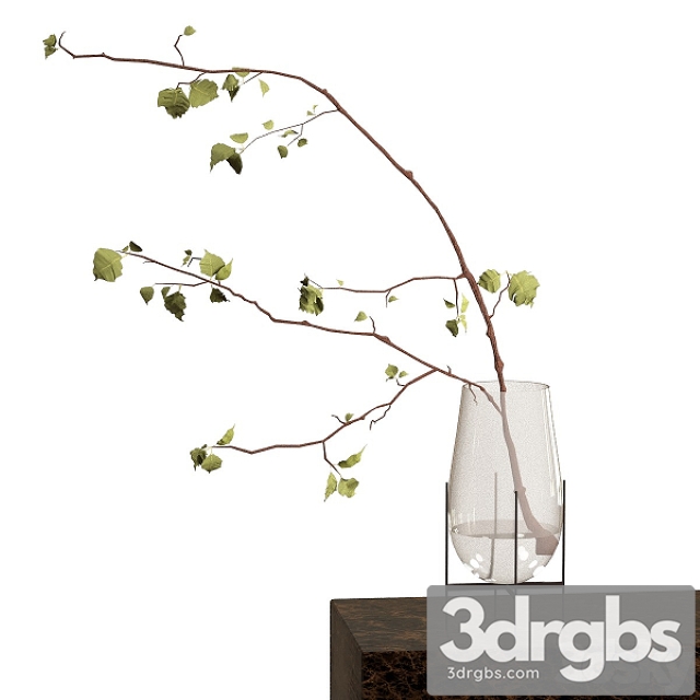 Branch in a Vase