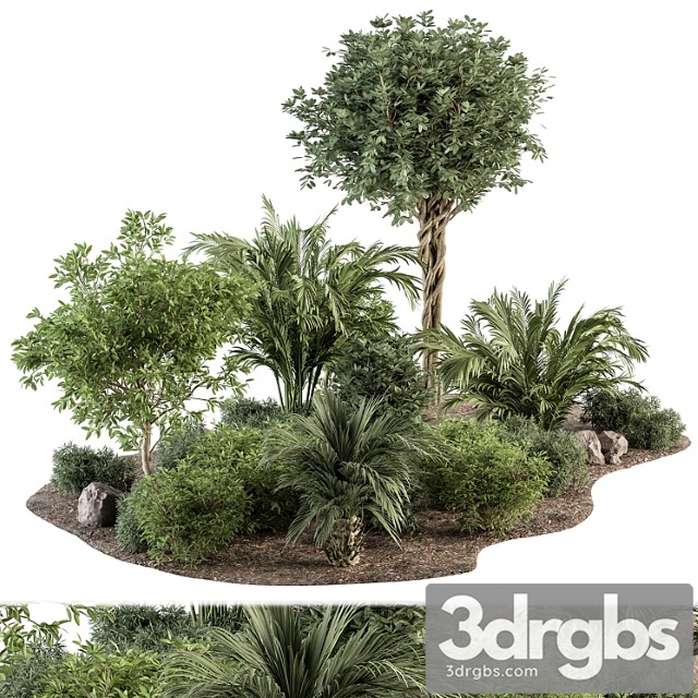 Garden plants - outdoor plants 442