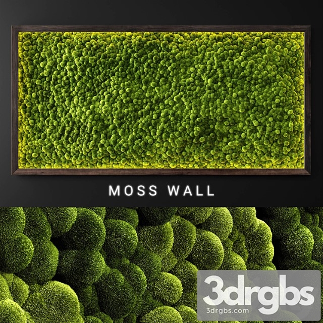 Moss Wall 21