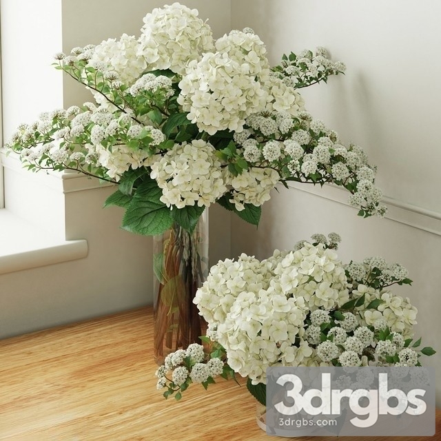 Hydrangea Bouquet 2