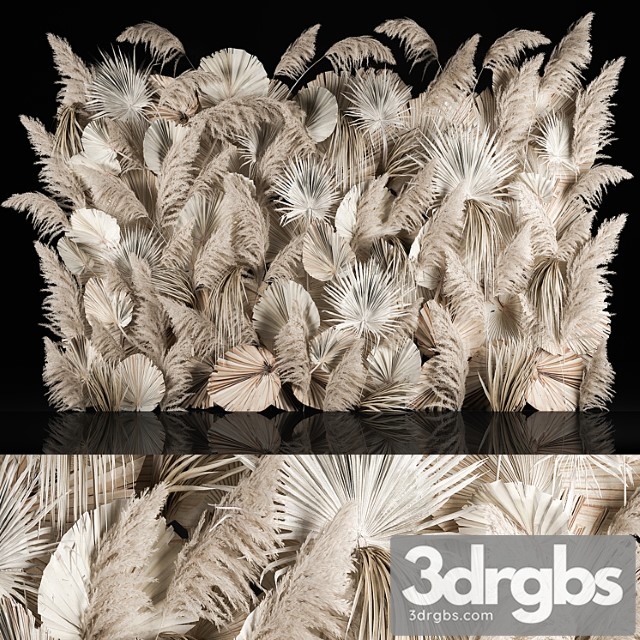 Vertical Garden Of Dried Flowers Pampas Grass Dry Palm Branches Cortaderia Bouquet And Dry Reeds 283