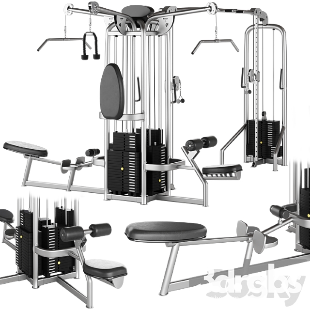 Hoist Multi Jungle Gym System Cmj 6600 S 6 Station