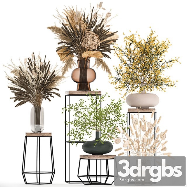 Set of Bouquets of Dried Flowers in Vases for Decor on Shelves Branches Pampas Grass 216