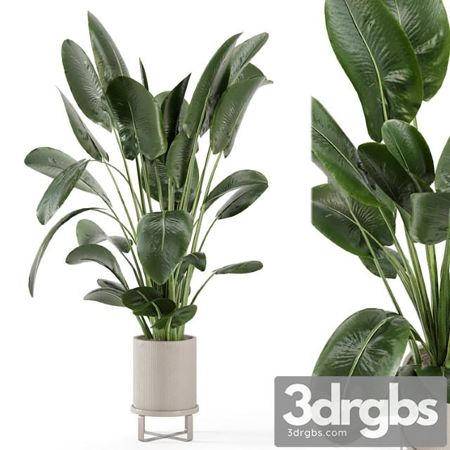 Indoor plants in ferm living bau pot large - set 765