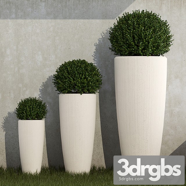 Outdoor Planters 02