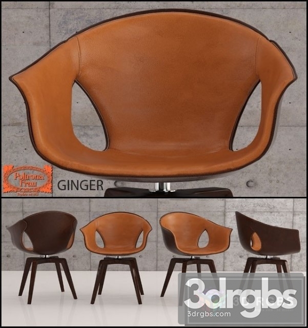 Ginger Dining Chair