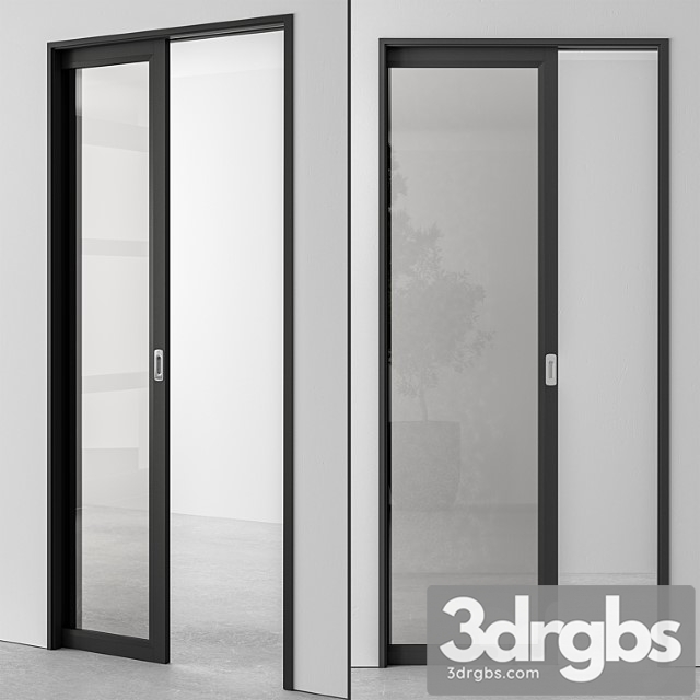 Glass pocket door - set 51