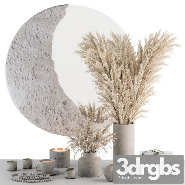 Decorative set moon mirror with dried plant - set 100