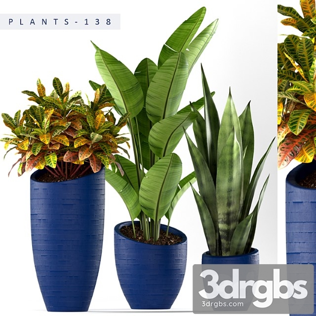 Plants 138