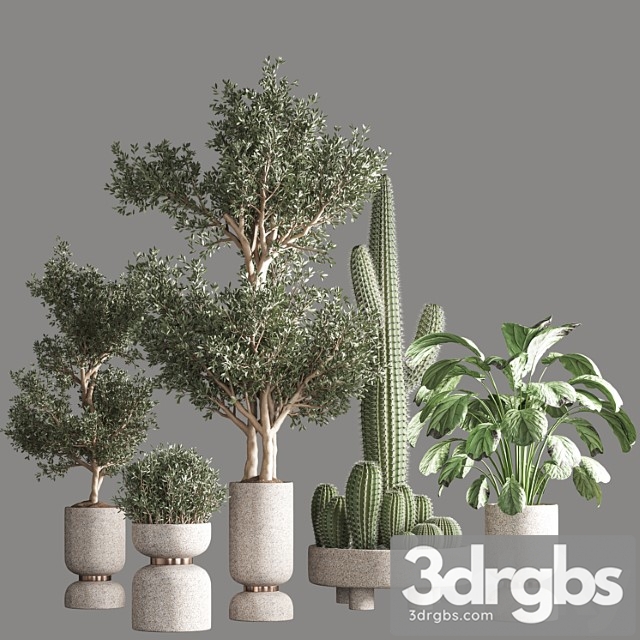 Indoor Plant Set 262