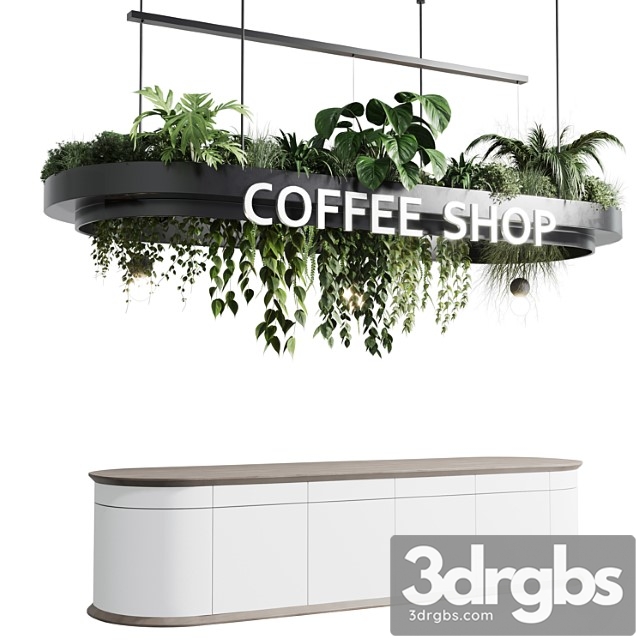 Coffee shop reception, restaurant counter by hanging plant - corona 01