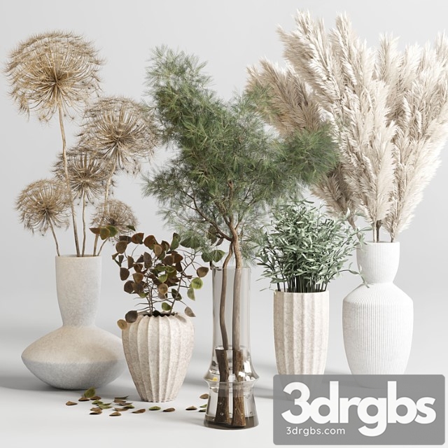 Bouquet 13 Concrete Vse Plant Pampas and Dry Hogweed Dry Leaves