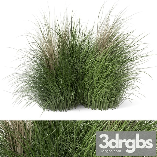 Outdoor plants bush -bush set 218