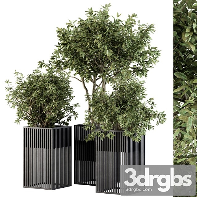 Outdoor plant set 276 - plant set in metal pot