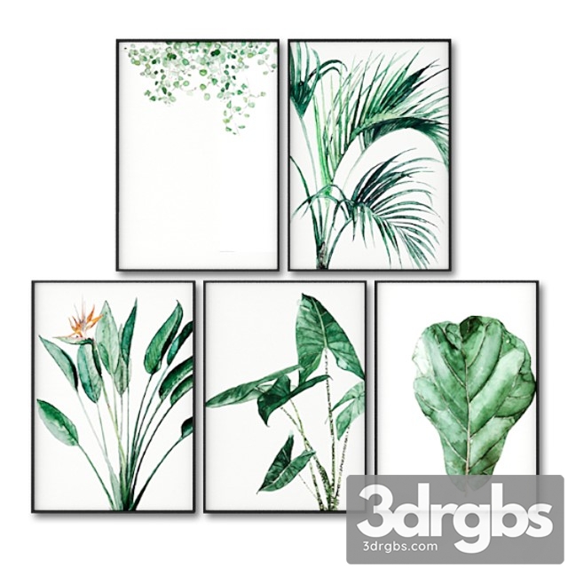 Posters with leaves of tropical plants.