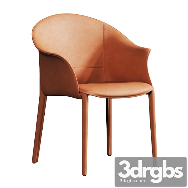Leisure Chair Dining Chair