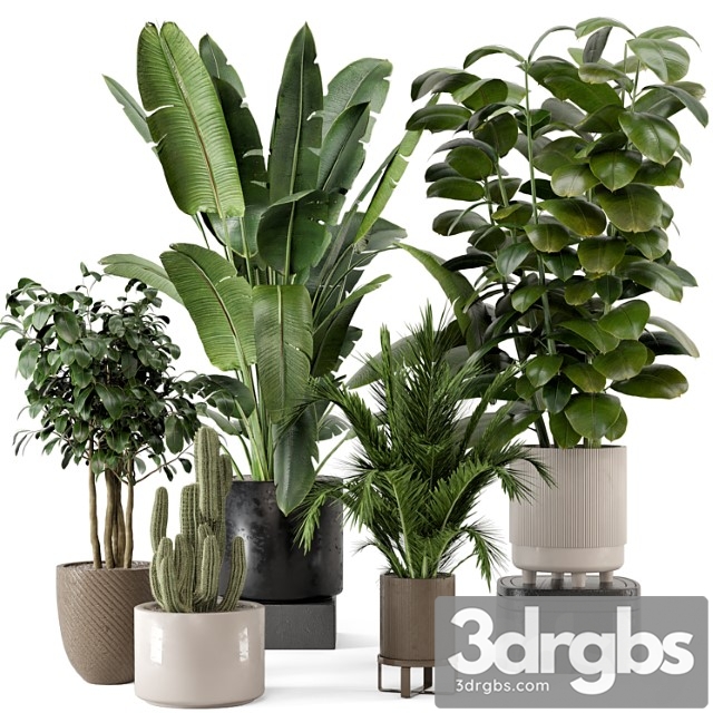 Indoor plants in ferm living bau pot large - set 926