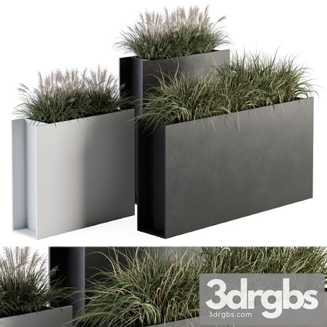 Outdoor Plant Set 288 Grass In Plant Box