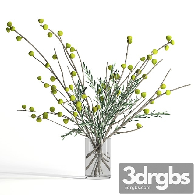 Plants Bouquet Fig and olive branches