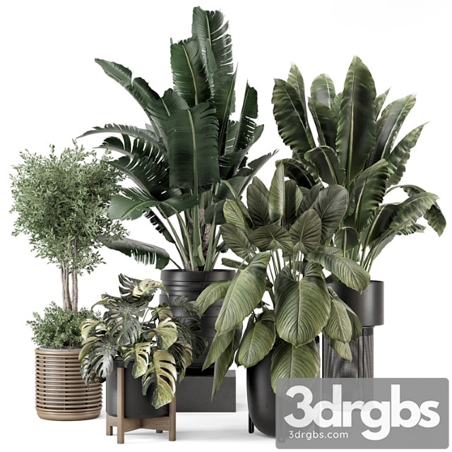 Indoor Plants In Ferm Living Bau Pot Large Set 1665