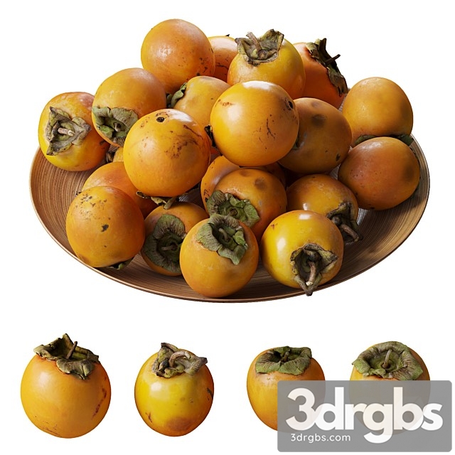 Persimmon Kinglet on a Platter