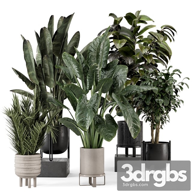 Indoor plants in ferm living bau pot large - set 1292
