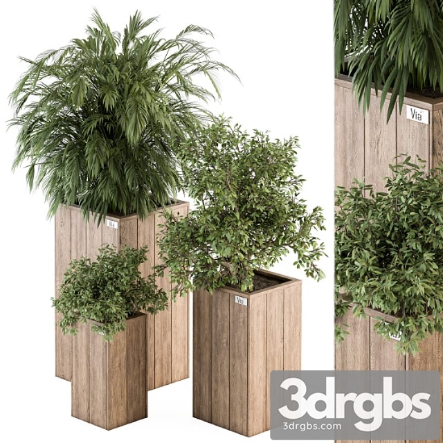 Outdoor plant set 297 - wooden plant box