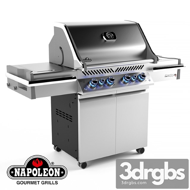 Grill napoleon pro 500