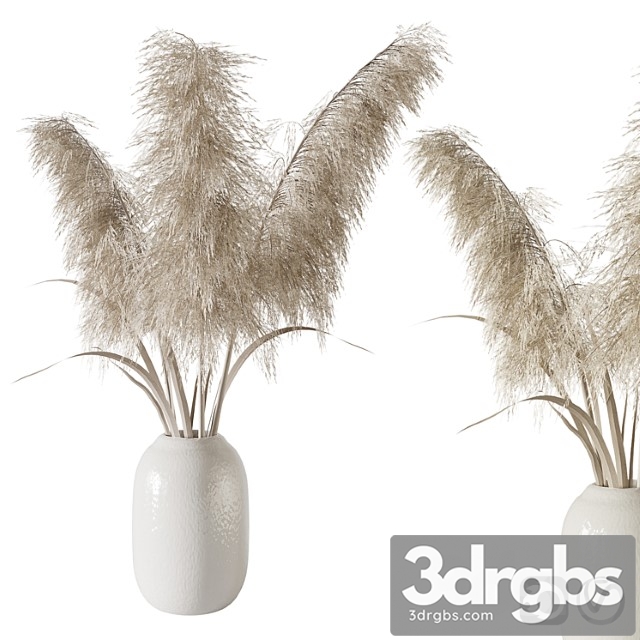 Pampas grass bouquet a