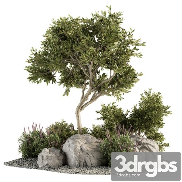 Garden Set Tree and Bush Garden Set 18